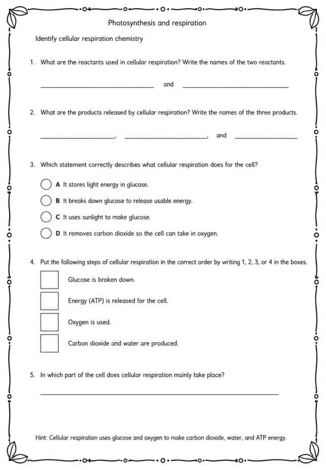Identify cellular respiration chemistry