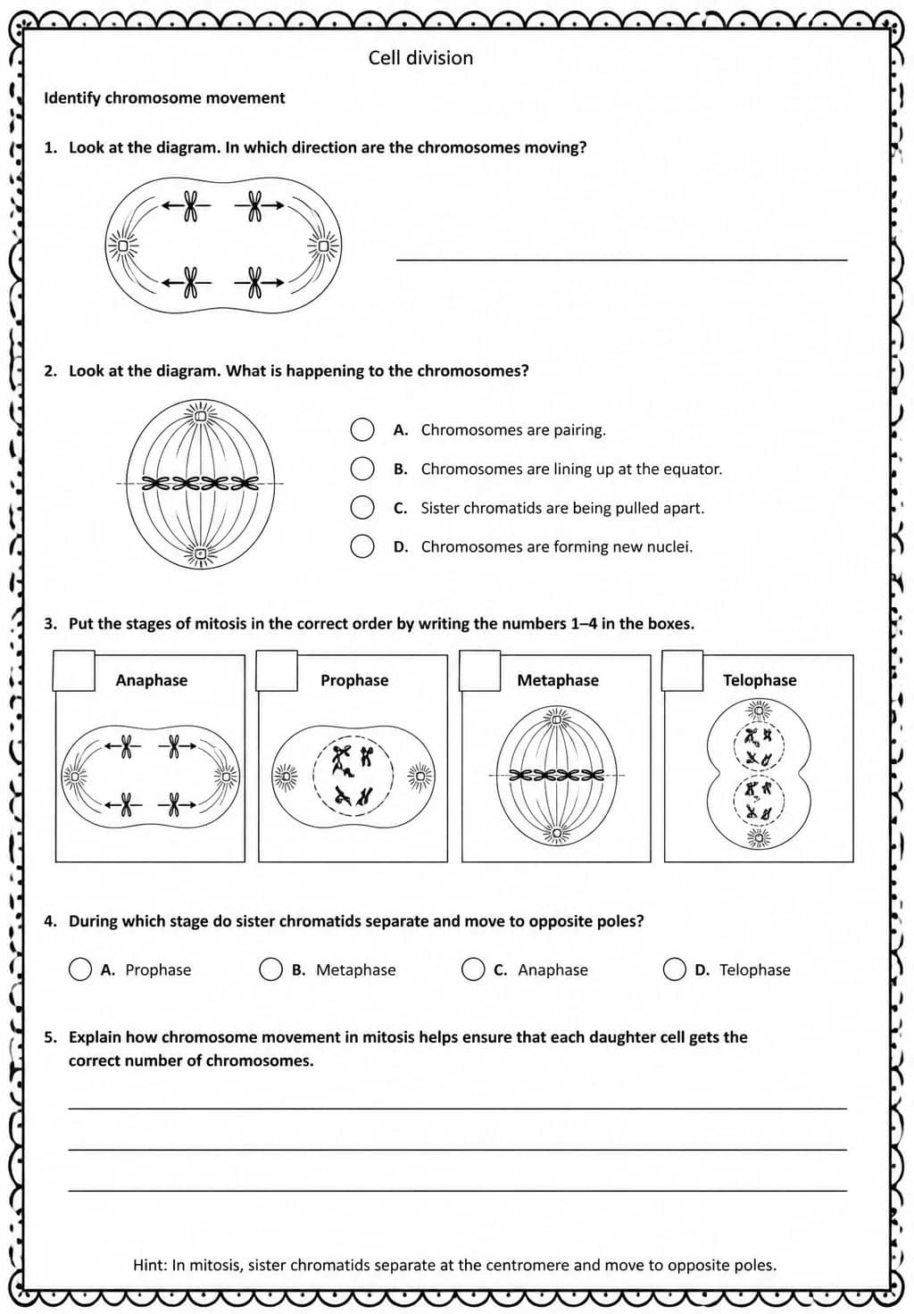 Identify chromosome movement — free printable High School Science worksheet