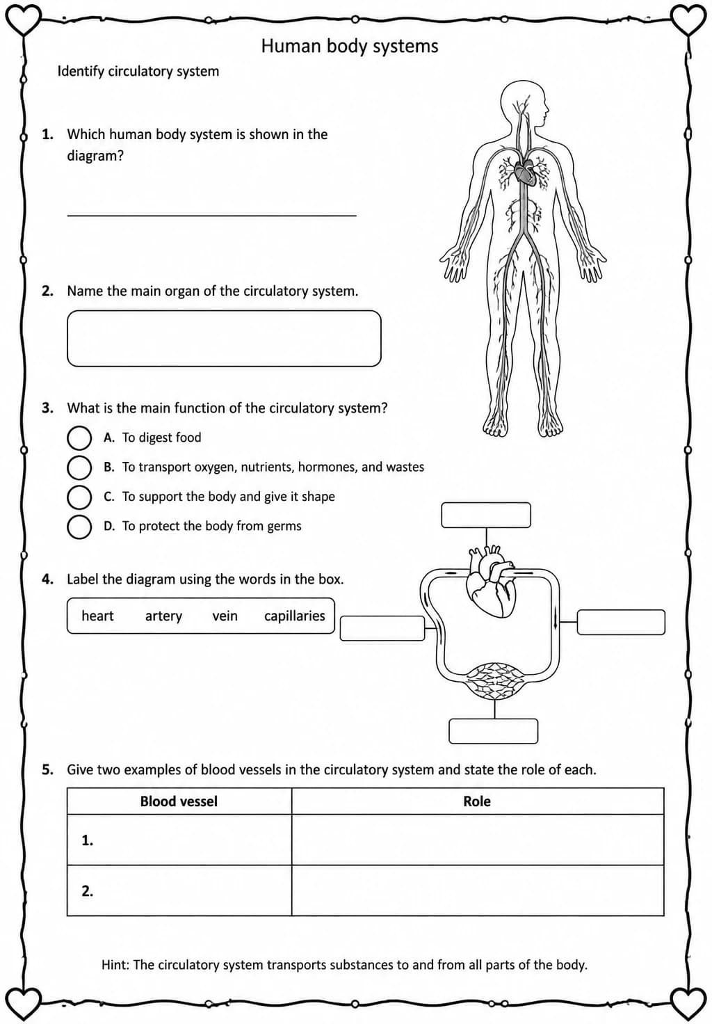 Identify circulatory system — free printable High School Science worksheet