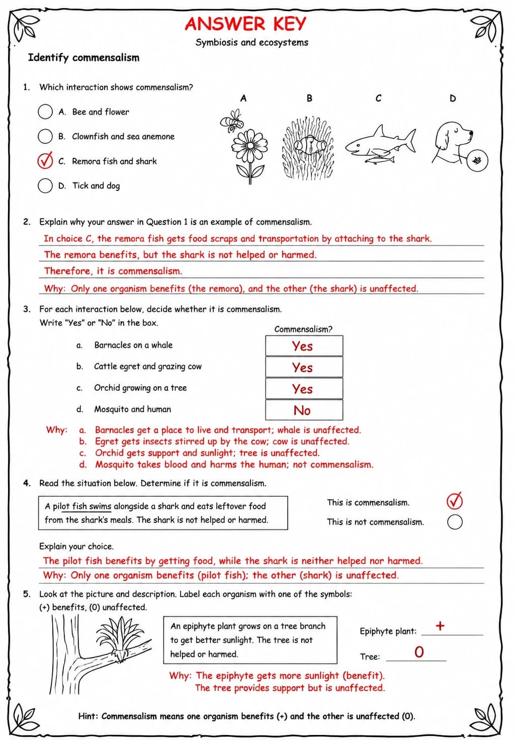 Answer key for Identify commensalism — free printable Science worksheet