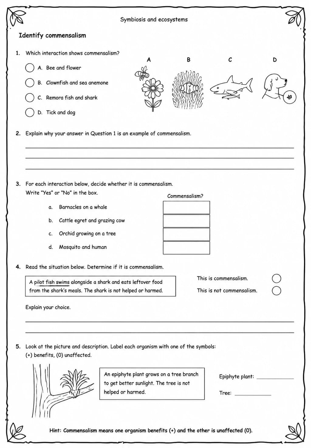 Identify commensalism — free printable Middle School Science worksheet