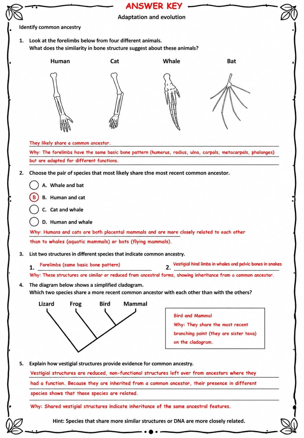Answer key for Identify common ancestry — free printable Science worksheet