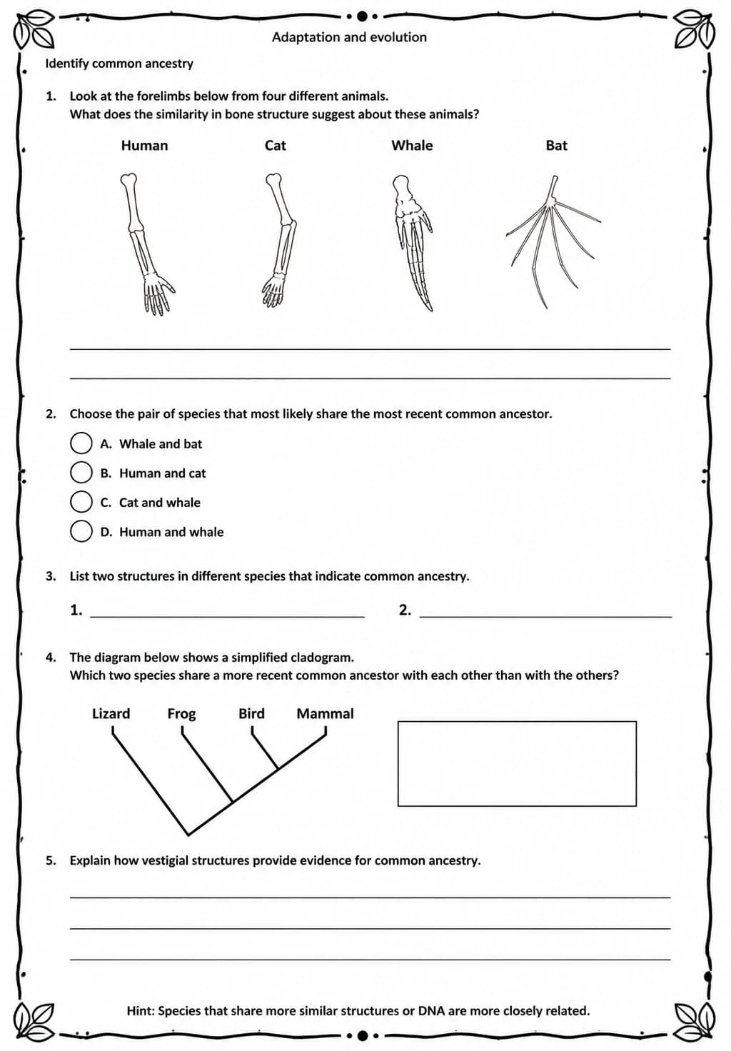 Identify common ancestry — free printable Middle School Science worksheet
