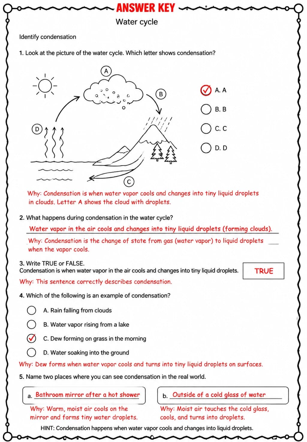 Answer key for Identify condensation — free printable Science worksheet