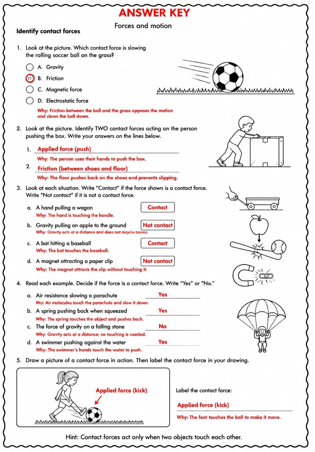 Answer key for Identify contact forces — free printable Science worksheet
