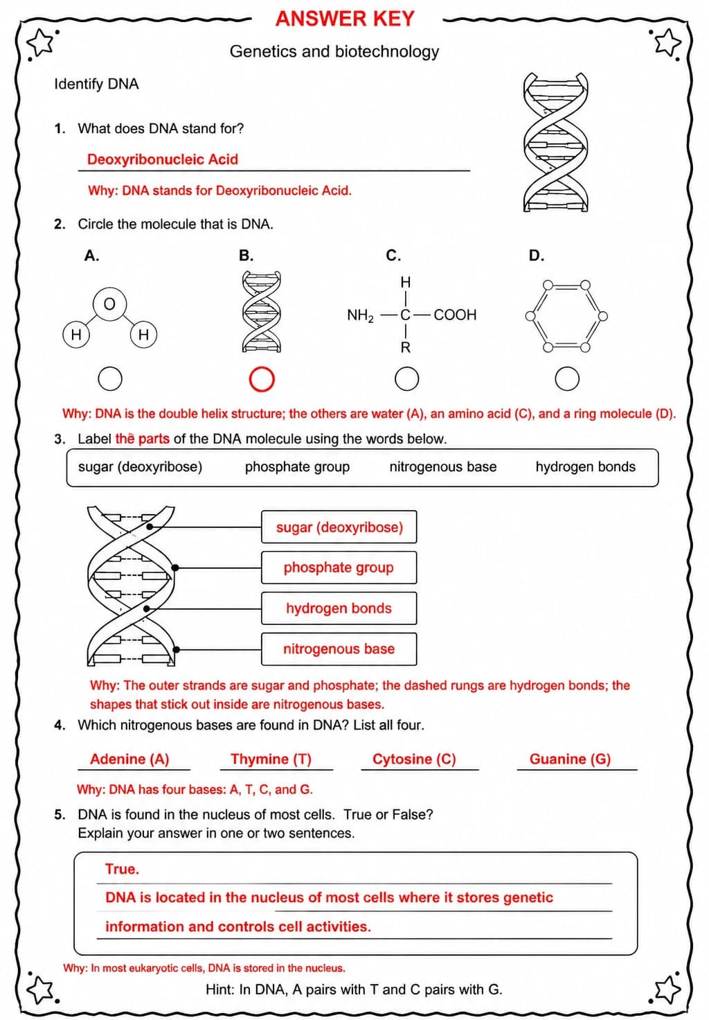 Answer key for Identify DNA — free printable Science worksheet