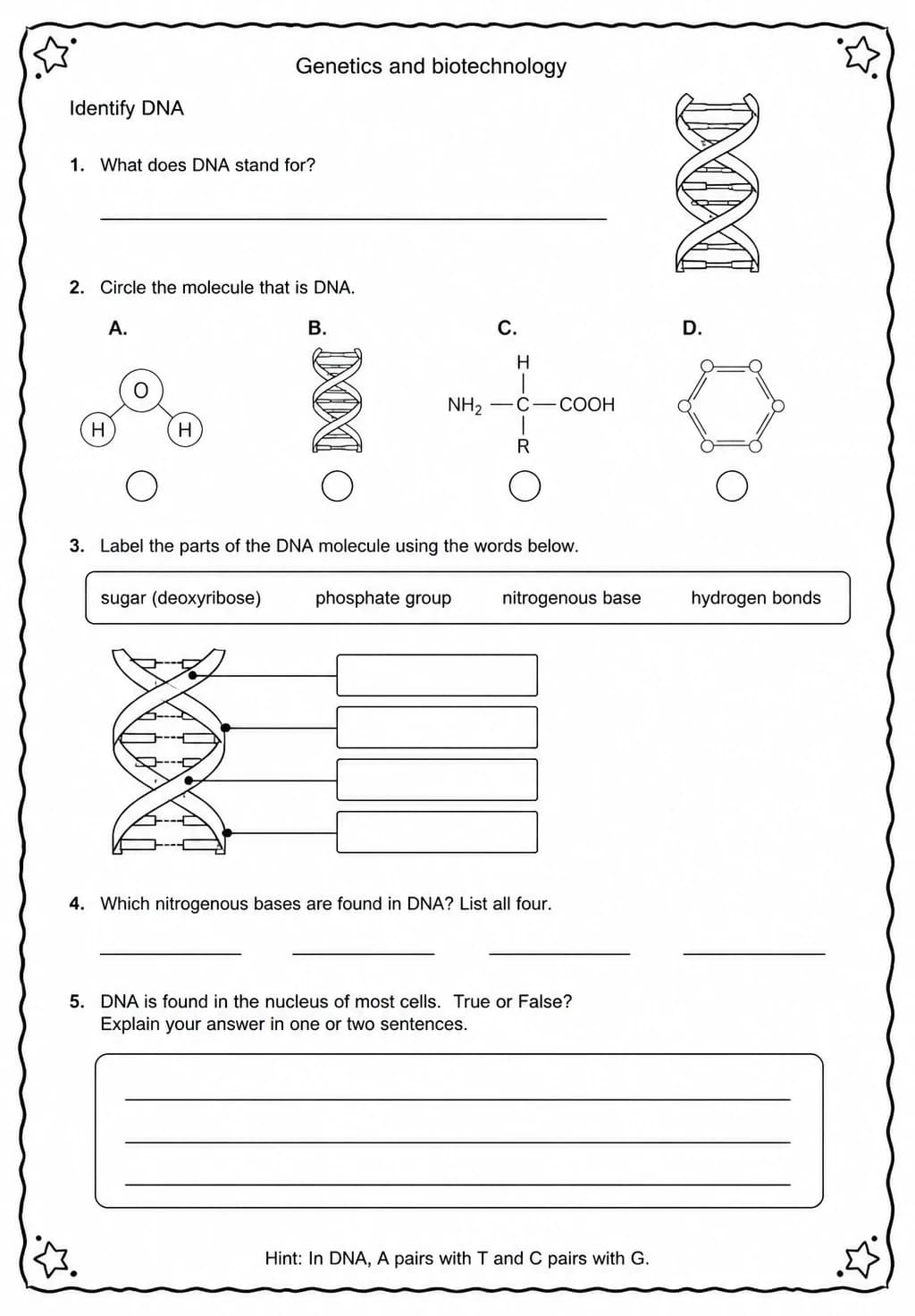 Identify DNA — free printable Middle School Science worksheet