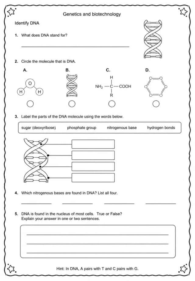 Identify DNA