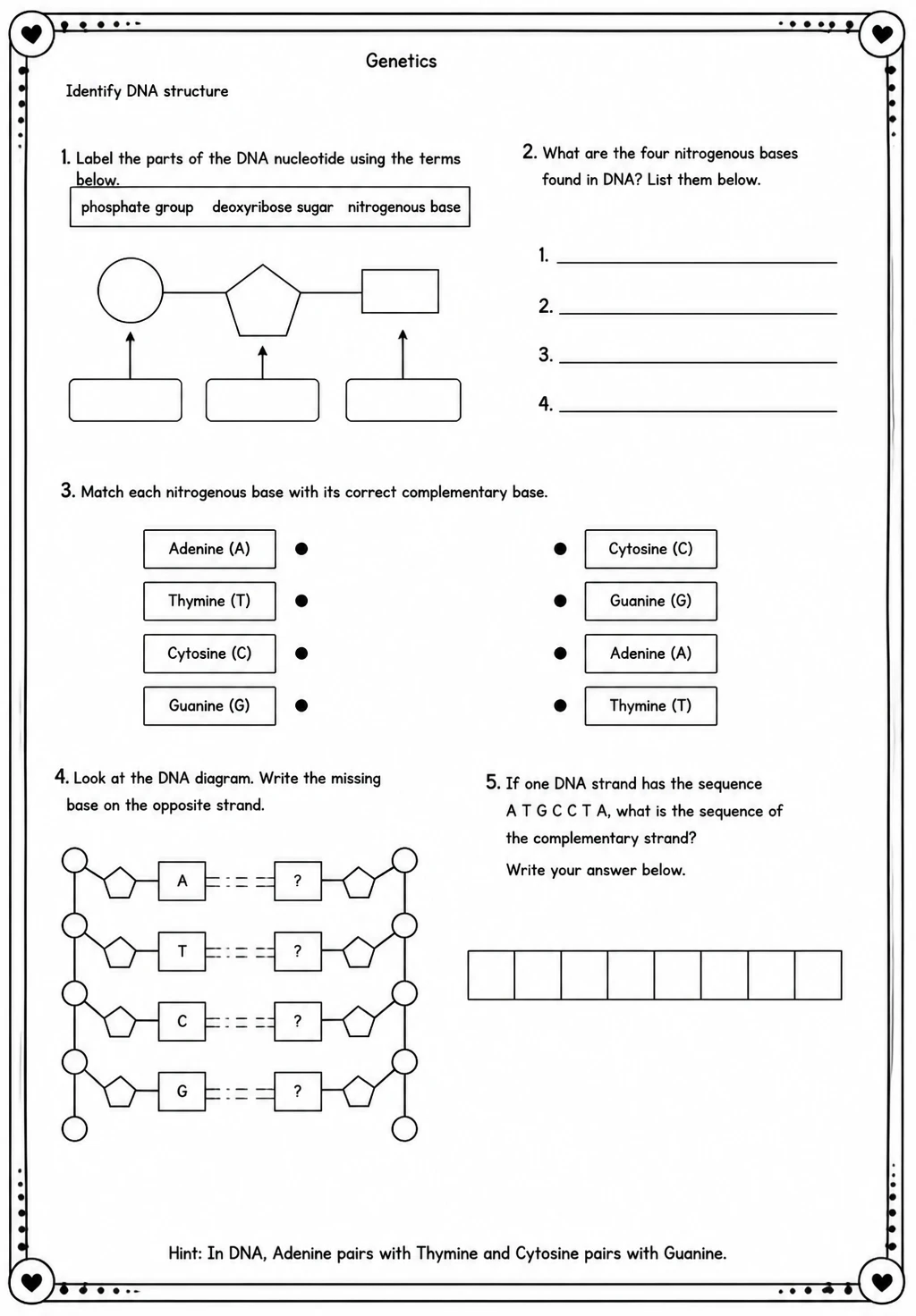 Identify DNA structure — free printable High School Science worksheet