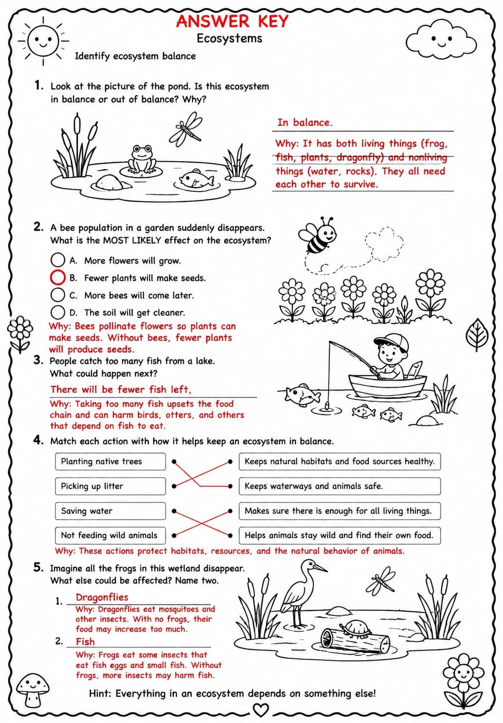 Answer key for Identify ecosystem balance — free printable Science worksheet