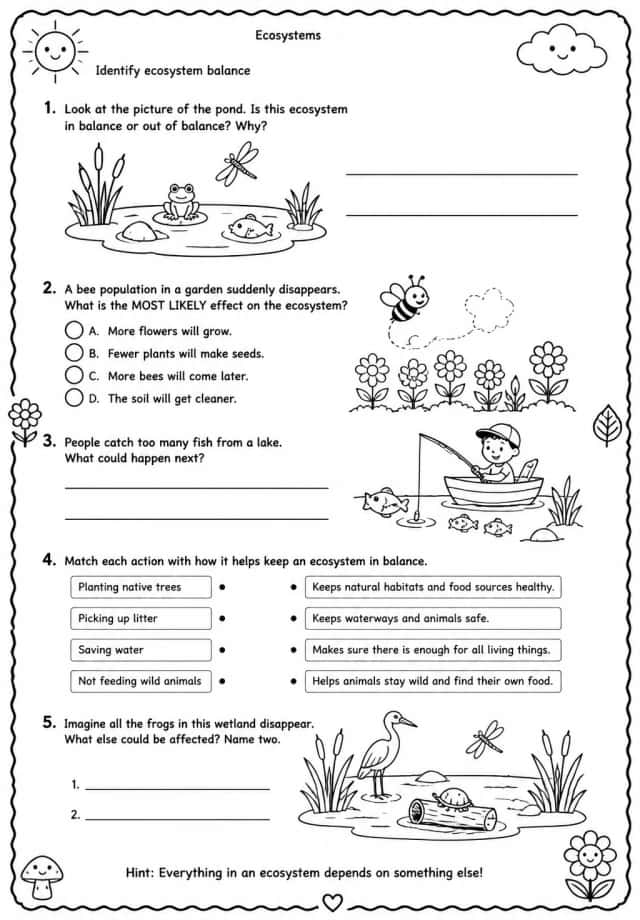 Identify ecosystem balance