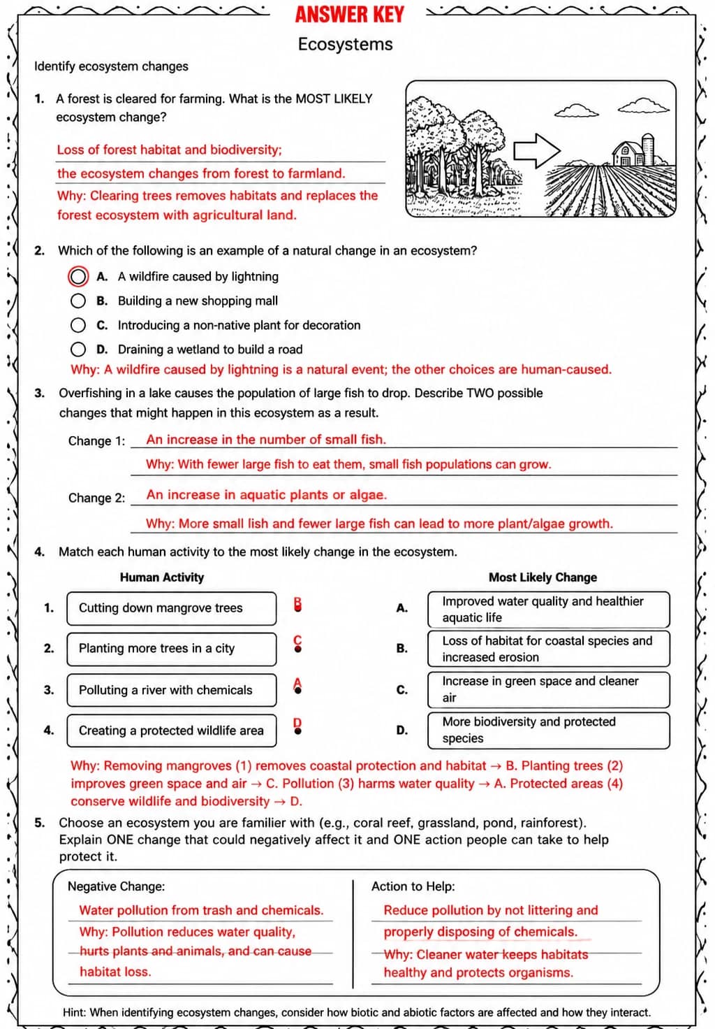 Answer key for Identify ecosystem changes — free printable Science worksheet