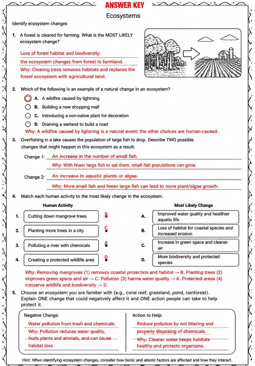 Answer key for Identify ecosystem changes — free printable Science worksheet