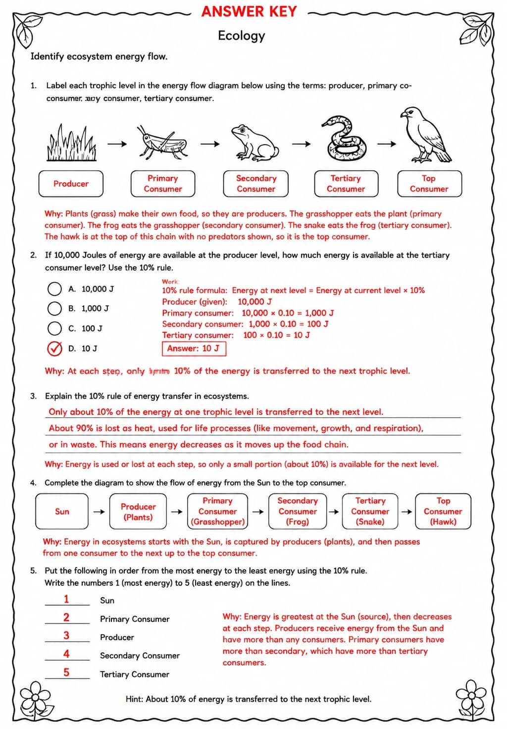 Answer key for Identify ecosystem energy flow — free printable Science worksheet