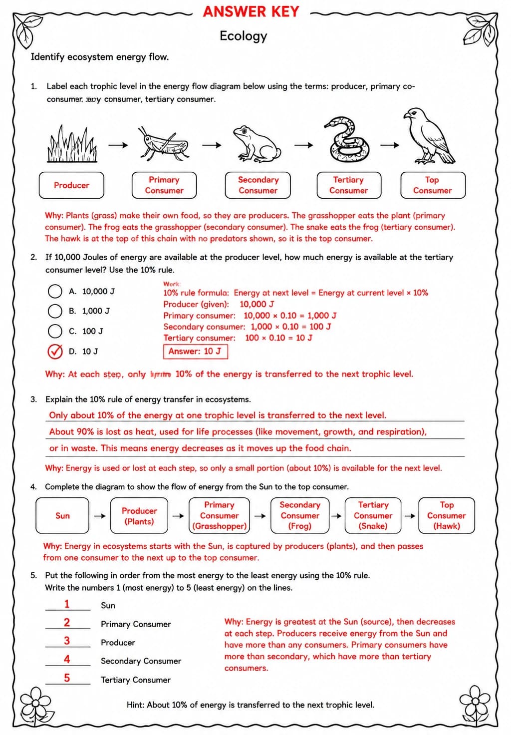 Answer key for Identify ecosystem energy flow — free printable Science worksheet