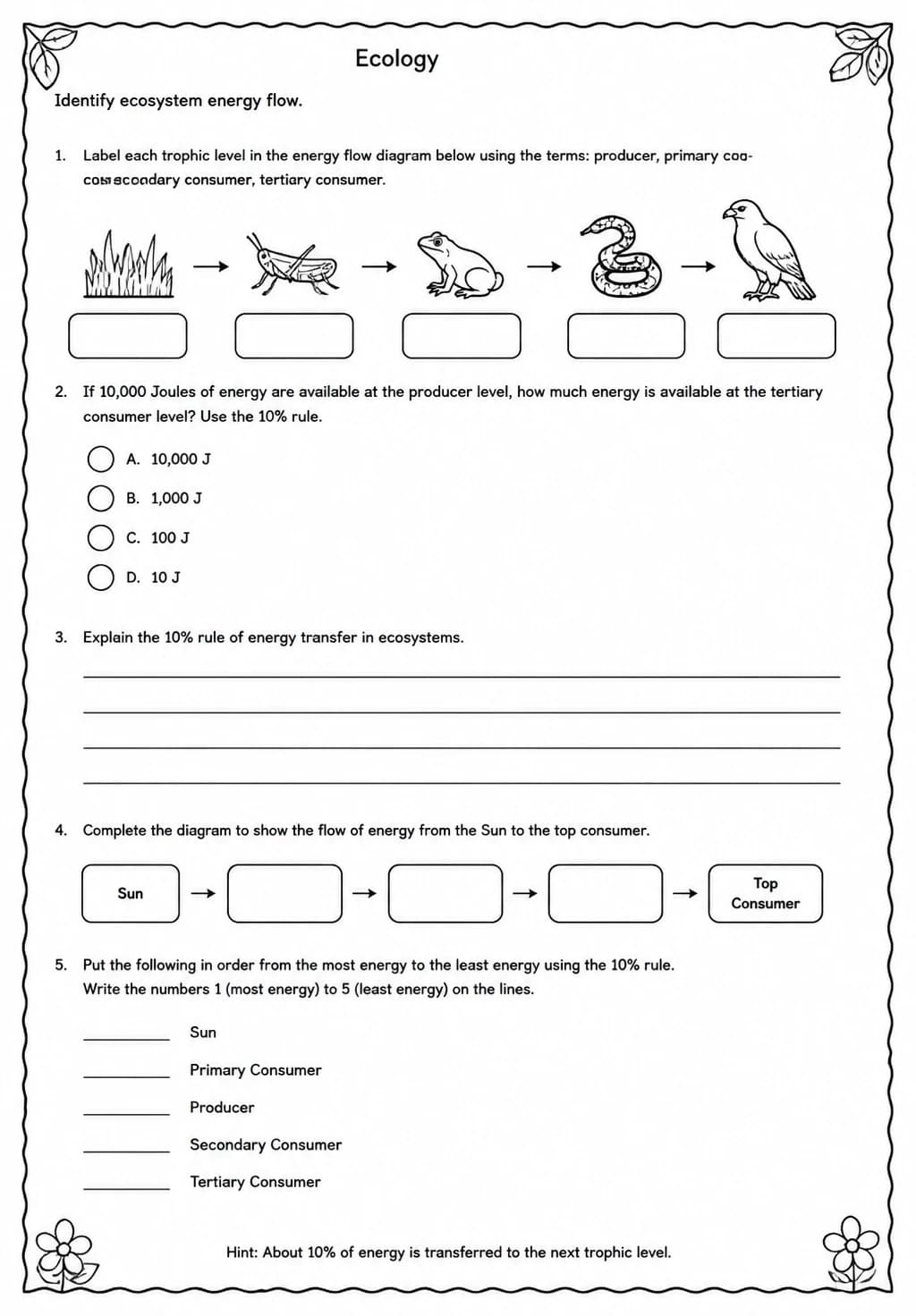 Identify ecosystem energy flow — free printable High School Science worksheet