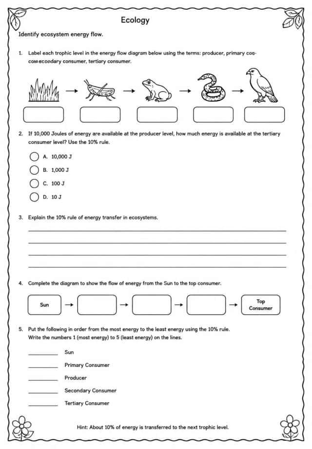 Identify ecosystem energy flow