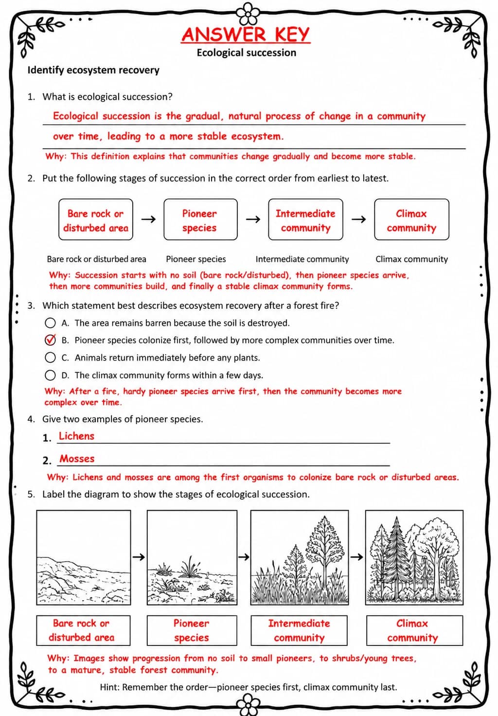 Answer key for Identify ecosystem recovery — free printable Science worksheet