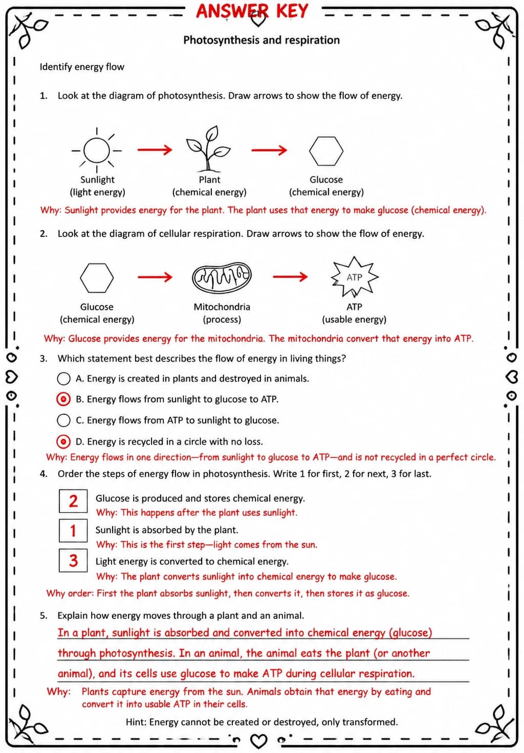 Answer key for Identify energy flow — free printable Science worksheet