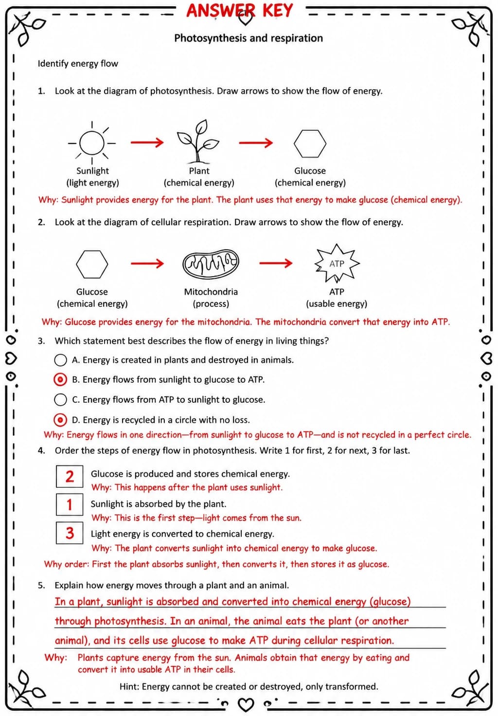 Answer key for Identify energy flow — free printable Science worksheet