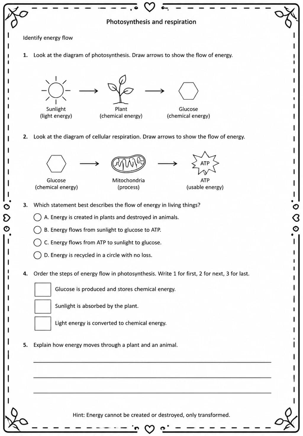 Identify energy flow — free printable High School Science worksheet