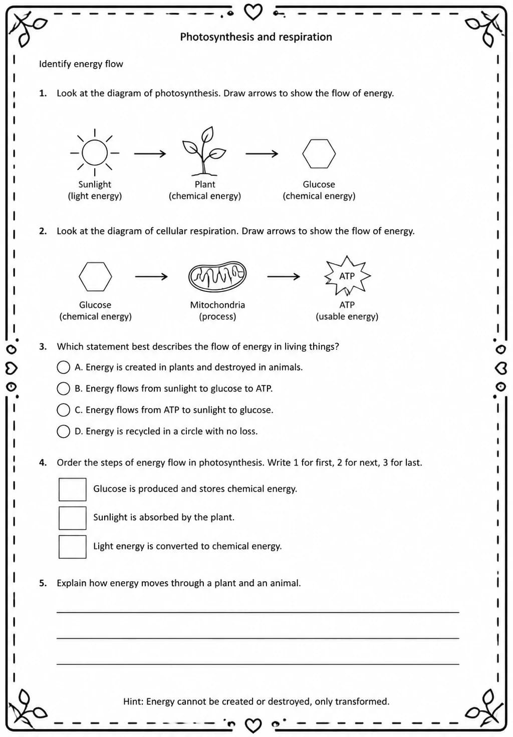 Identify energy flow — free printable High School Science worksheet