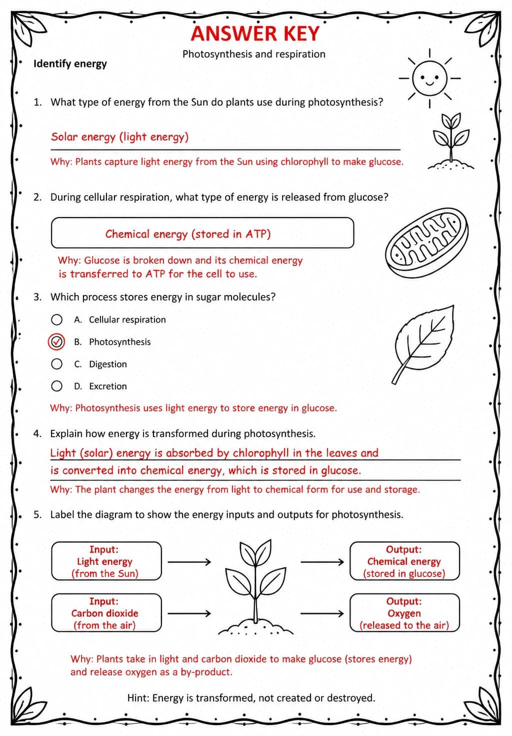 Answer key for Identify energy — free printable Science worksheet