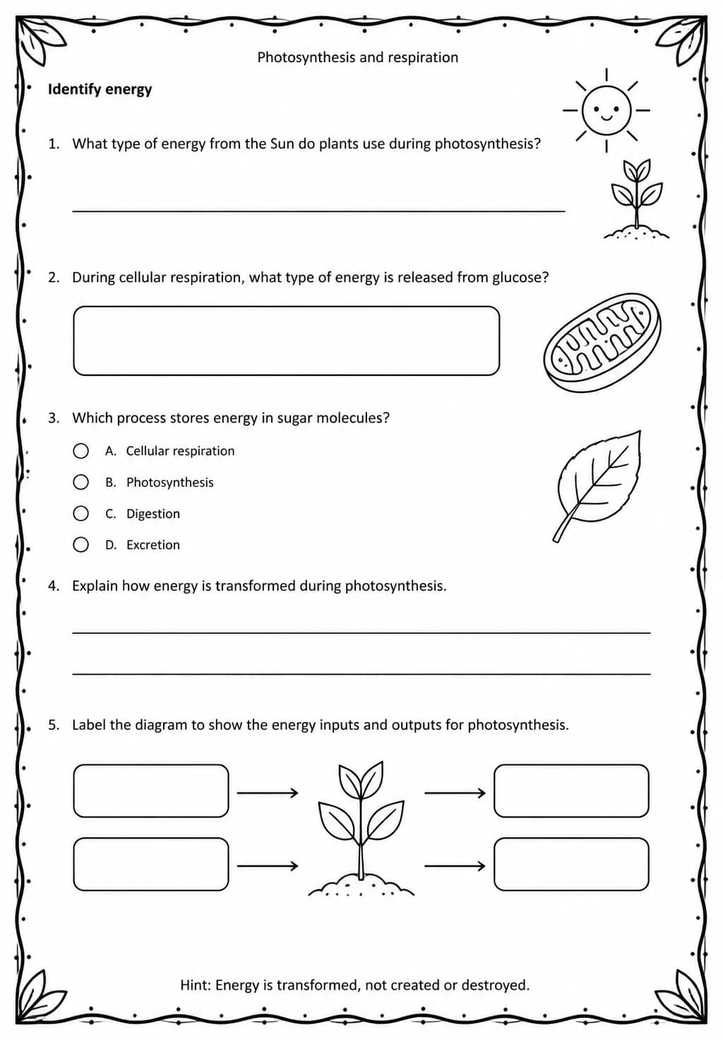 Identify energy — free printable Middle School Science worksheet