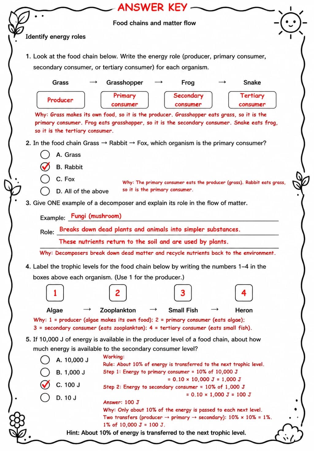 Answer key for Identify energy roles — free printable Science worksheet