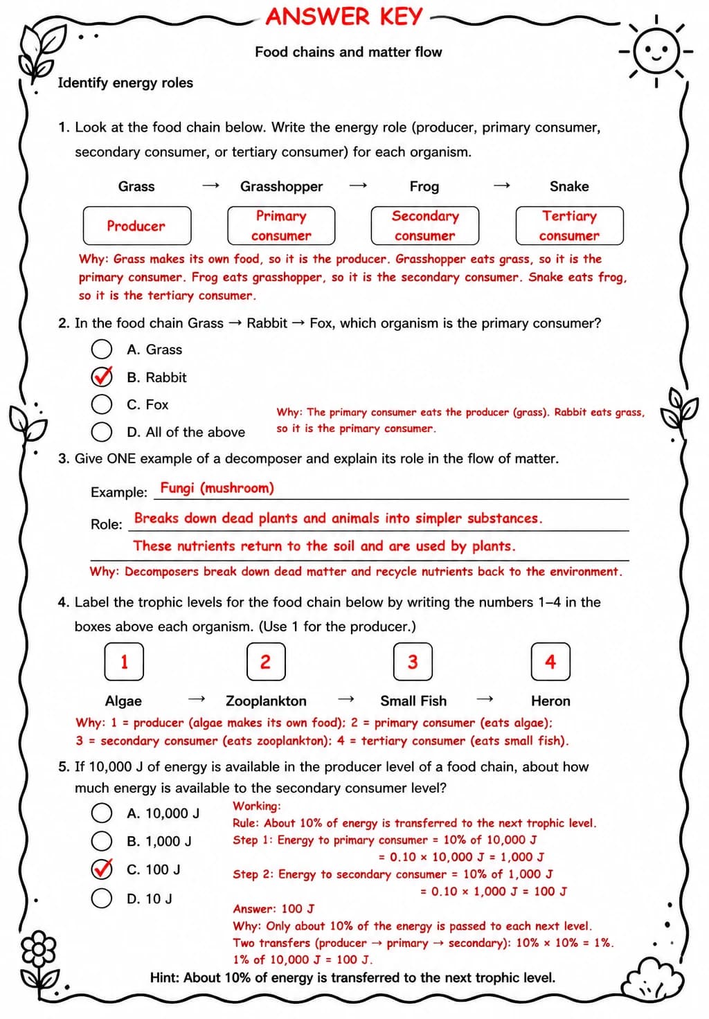 Answer key for Identify energy roles — free printable Science worksheet