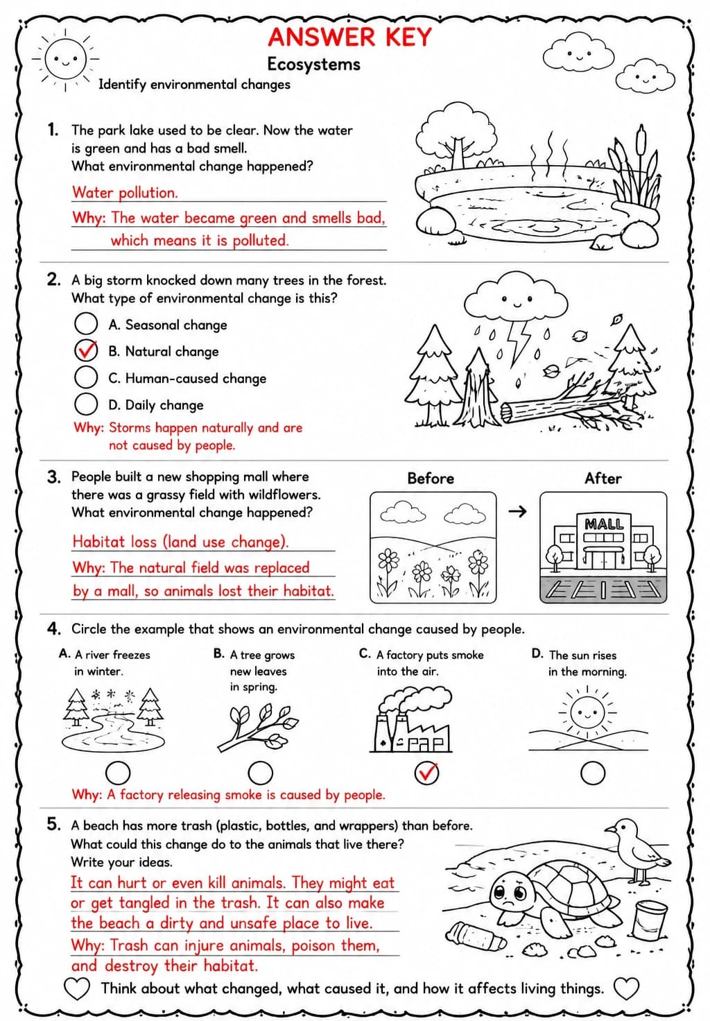 Answer key for Identify environmental changes — free printable Science worksheet