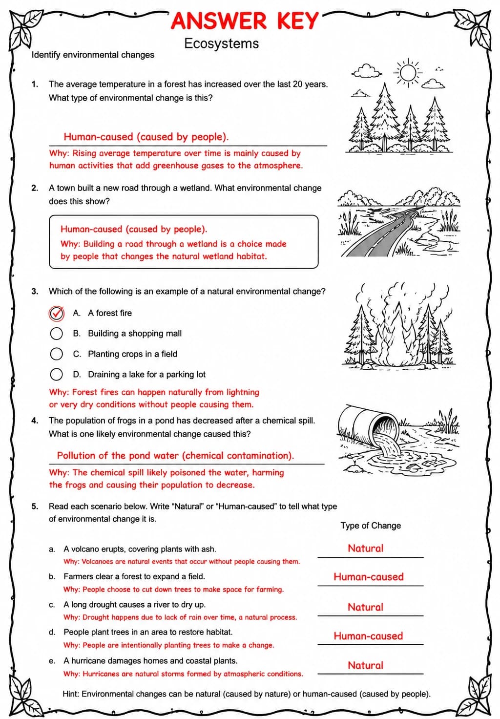 Answer key for Identify environmental changes — free printable Science worksheet