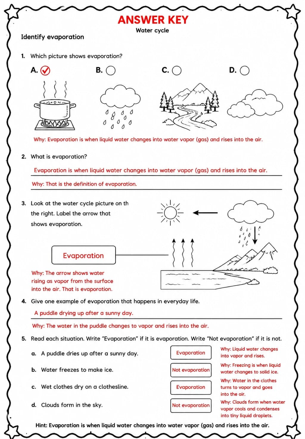Answer key for Identify evaporation — free printable Science worksheet