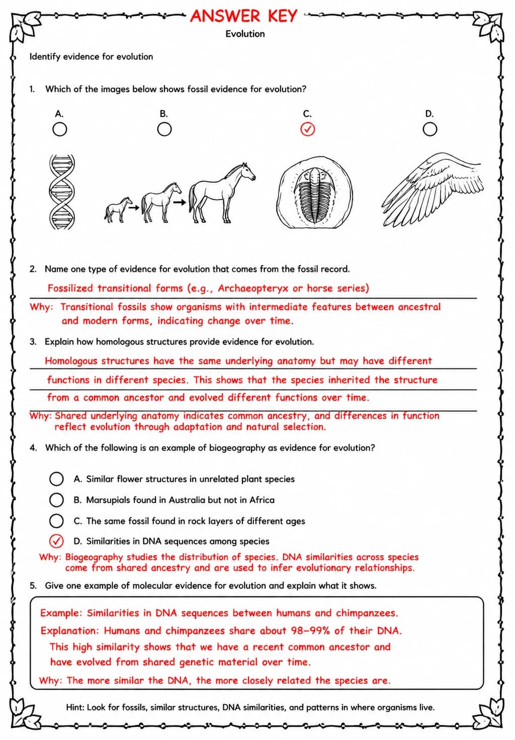 Answer key for Identify evidence for evolution — free printable Science worksheet
