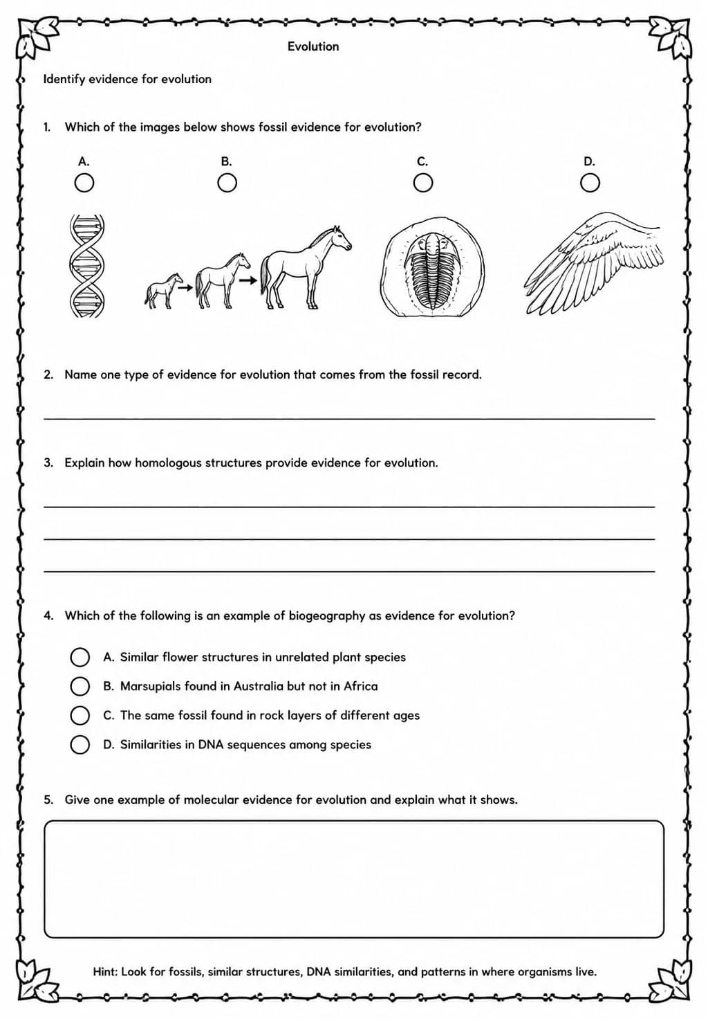 Identify evidence for evolution — free printable High School Science worksheet