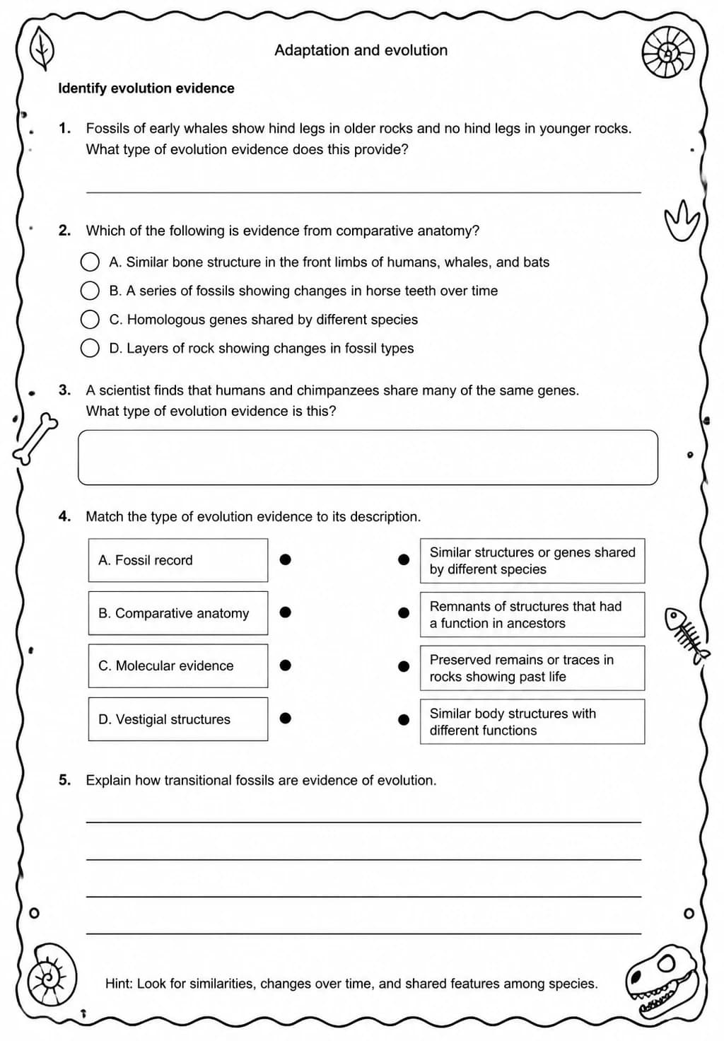 Identify evolution evidence — free printable Middle School Science worksheet