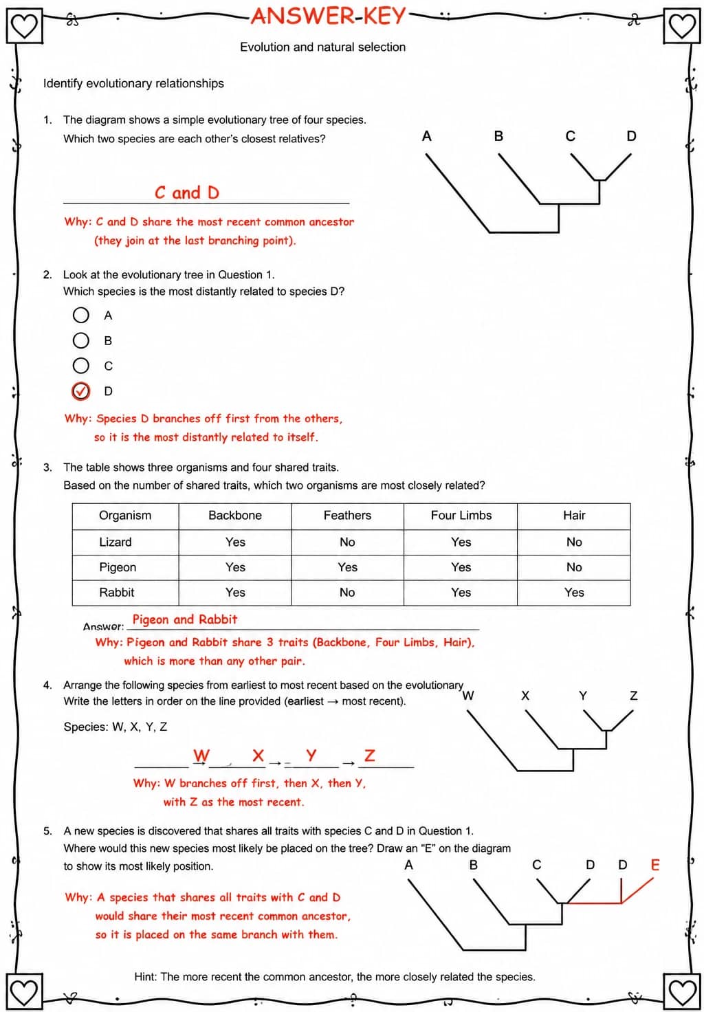Answer key for Identify evolutionary relationships — free printable Science worksheet