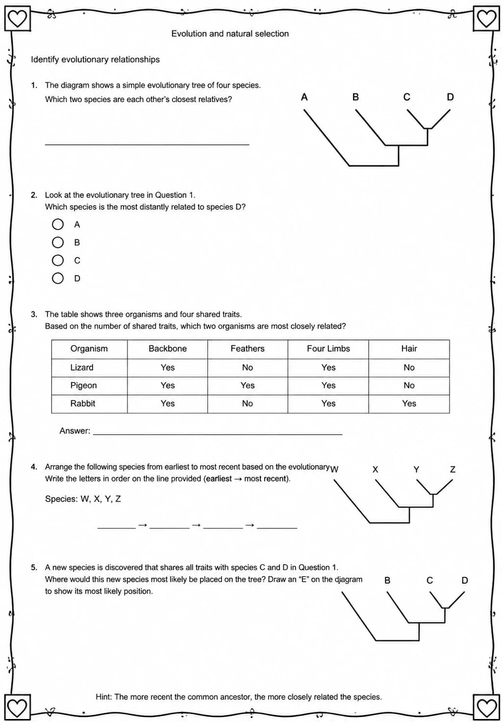 Identify evolutionary relationships — free printable Middle School Science worksheet