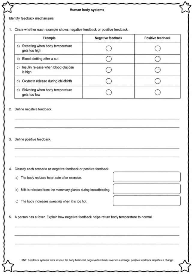Identify feedback mechanisms
