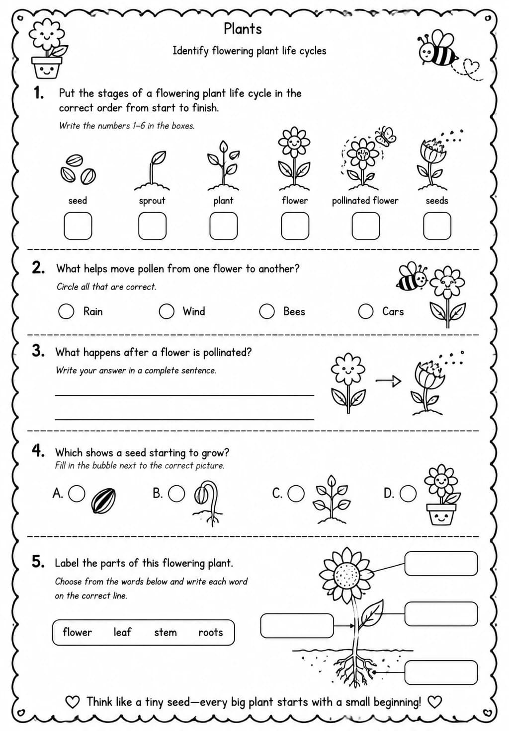 Identify flowering plant life cycles — free printable Grade 2 Science worksheet