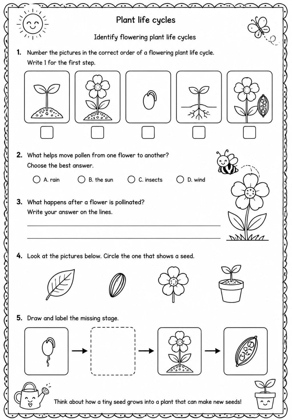 Identify flowering plant life cycles — free printable Grade 4 Science worksheet