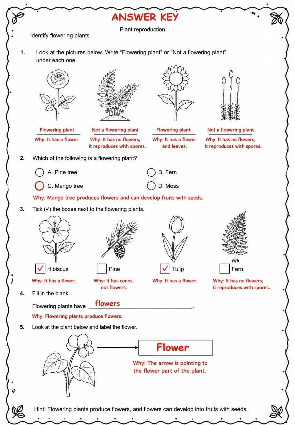 Answer key for Identify flowering plants — free printable Science worksheet