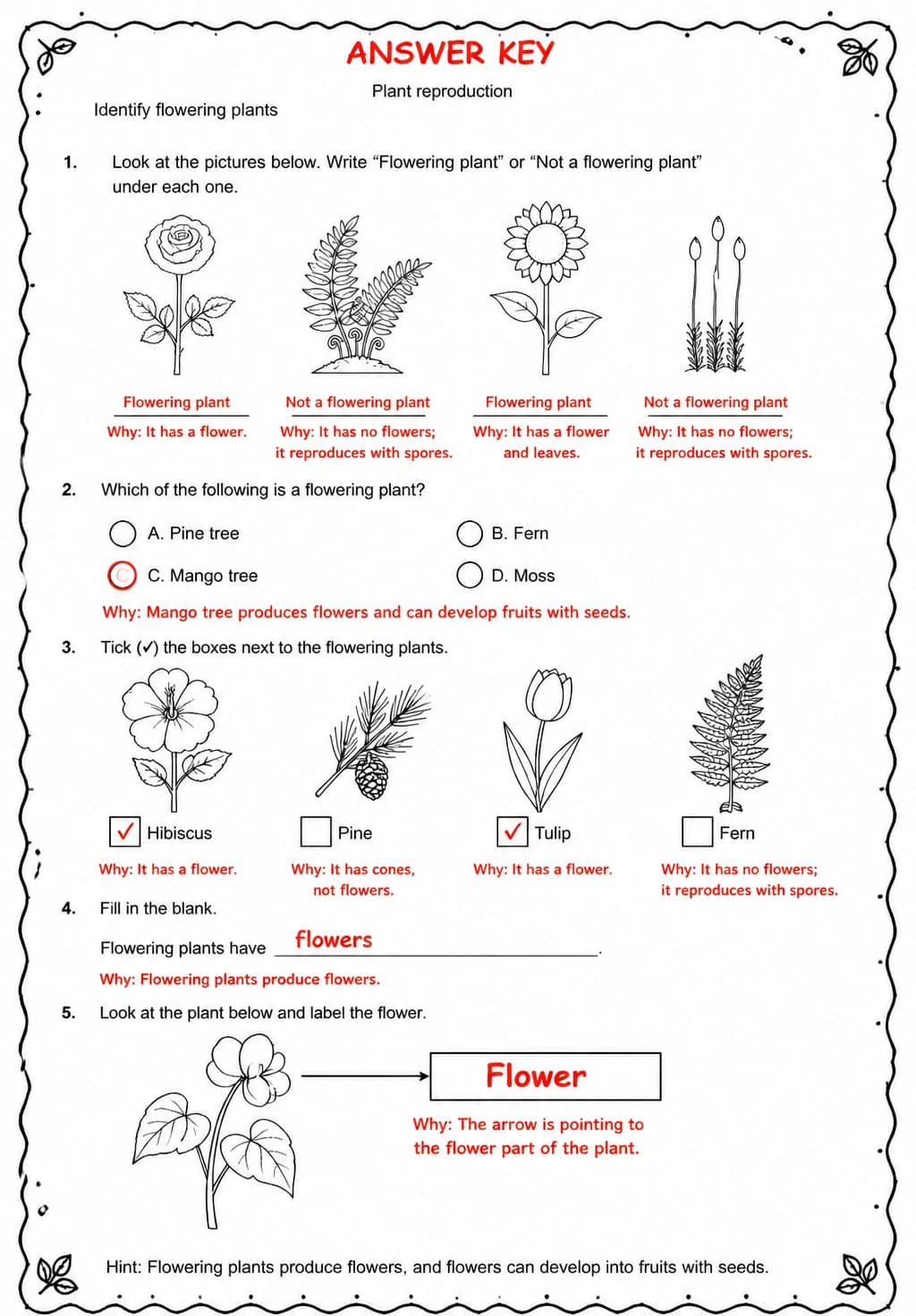 Answer key for Identify flowering plants — free printable Science worksheet