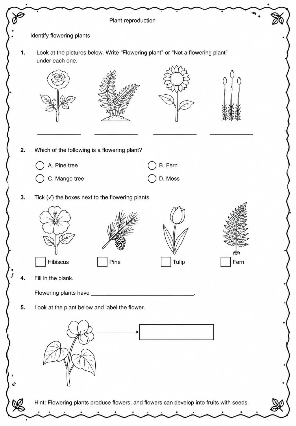 Identify flowering plants — free printable Middle School Science worksheet
