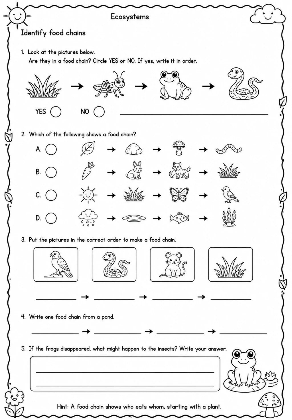 Identify food chains — free printable Grade 3 Science worksheet
