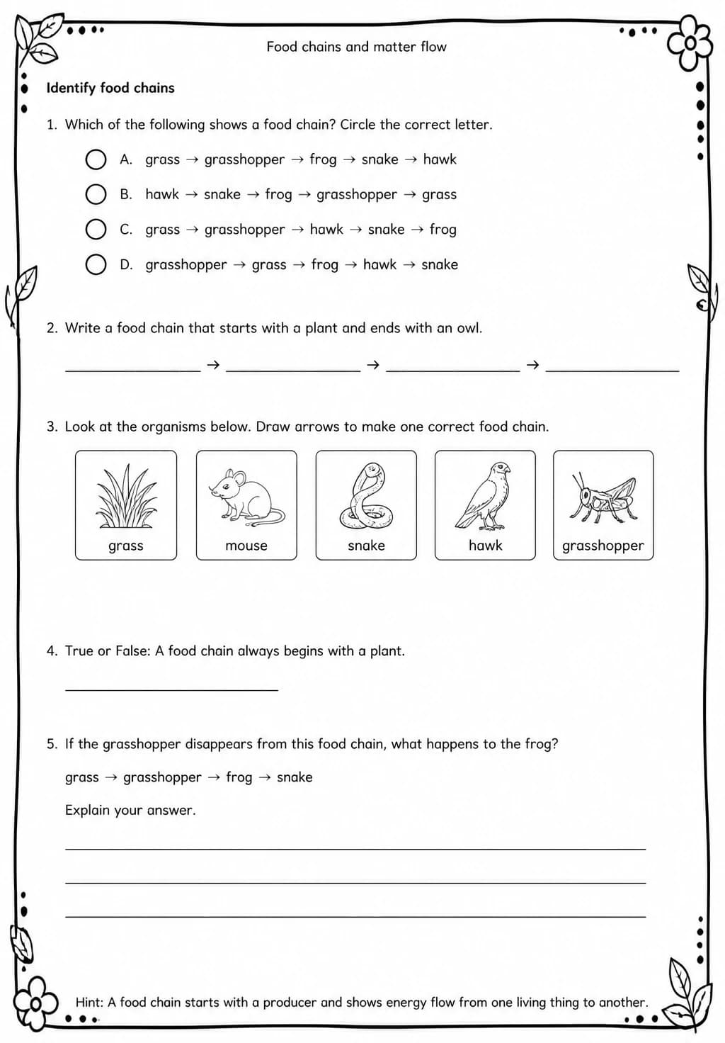 Identify food chains — free printable Grade 5 Science worksheet