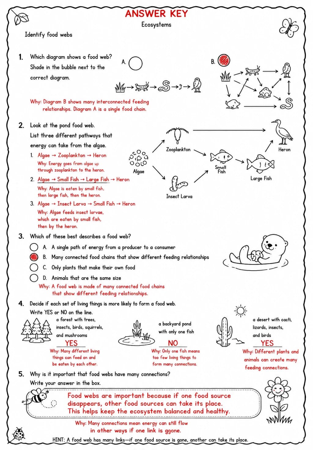 Answer key for Identify food webs — free printable Science worksheet
