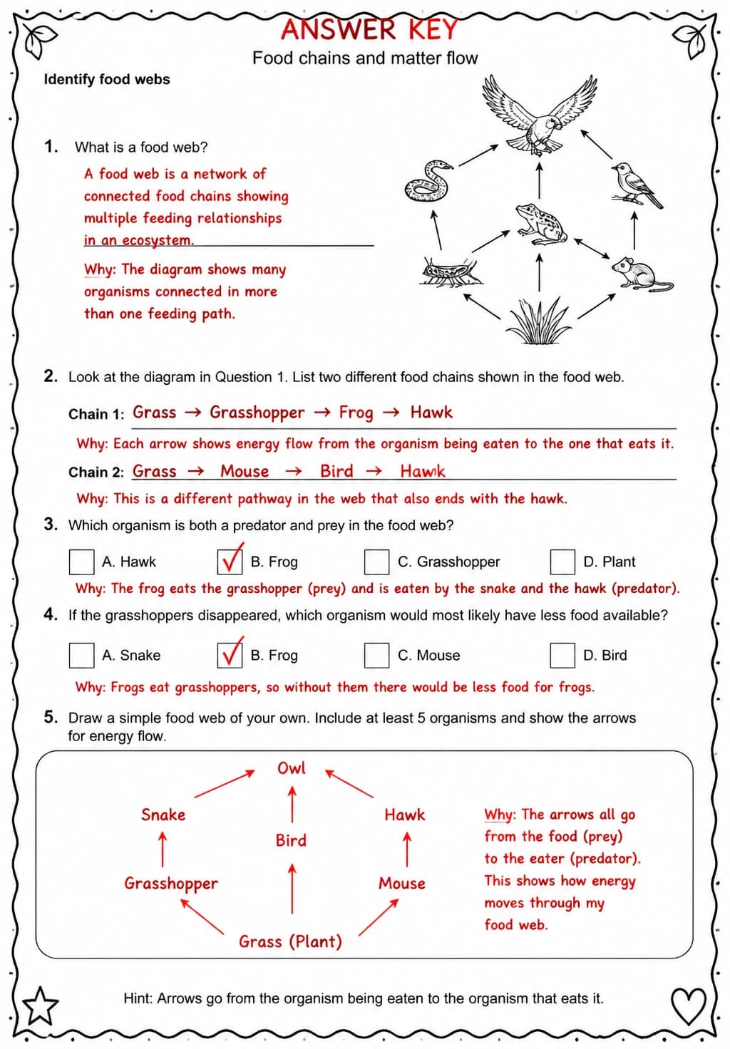 Answer key for Identify food webs — free printable Science worksheet