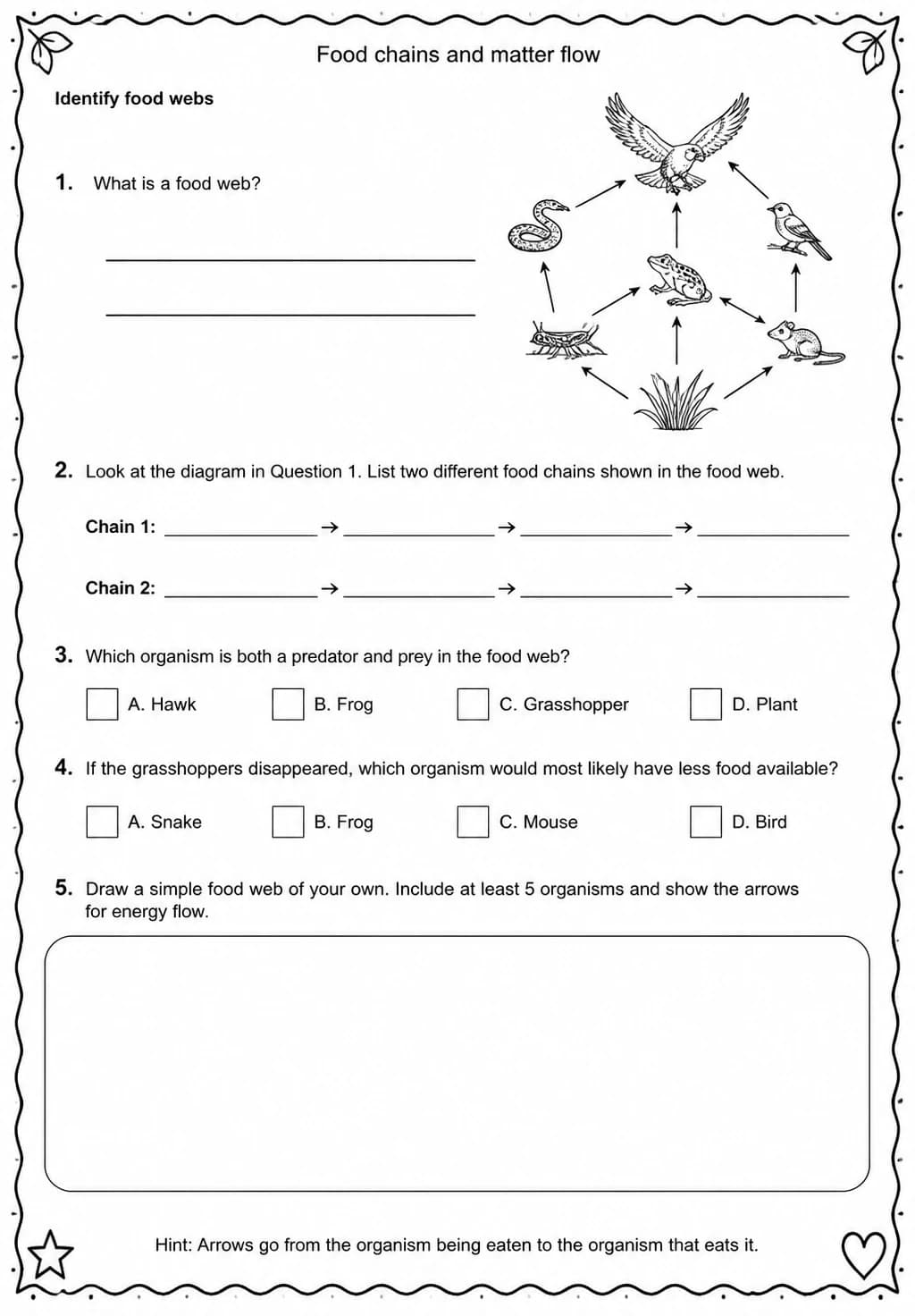 Identify food webs — free printable Grade 5 Science worksheet