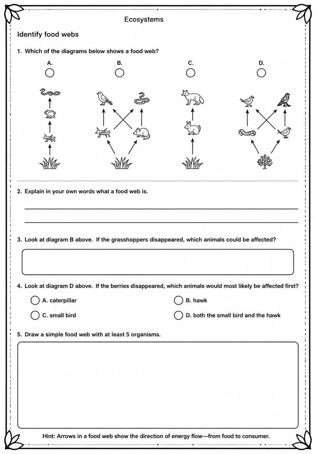 Identify food webs — free printable Middle School Science worksheet